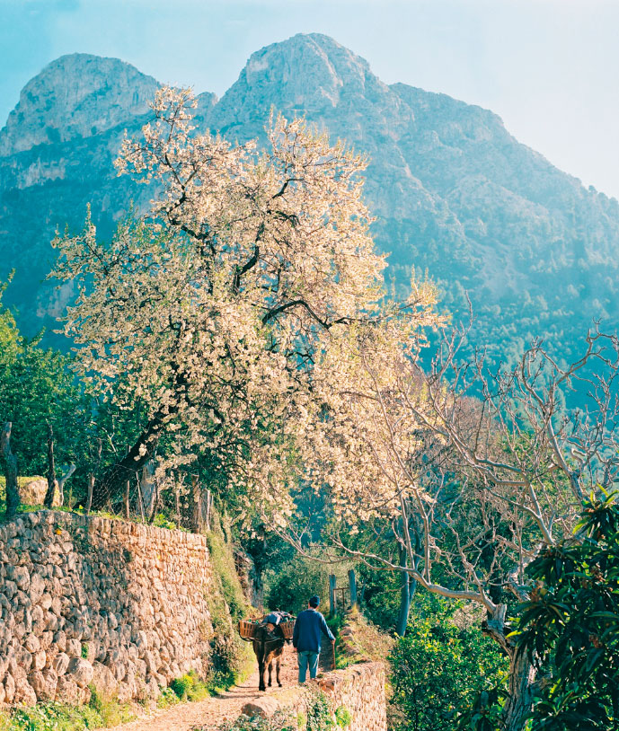 wanderwege im mallorca hotel miramar in puerto de soller