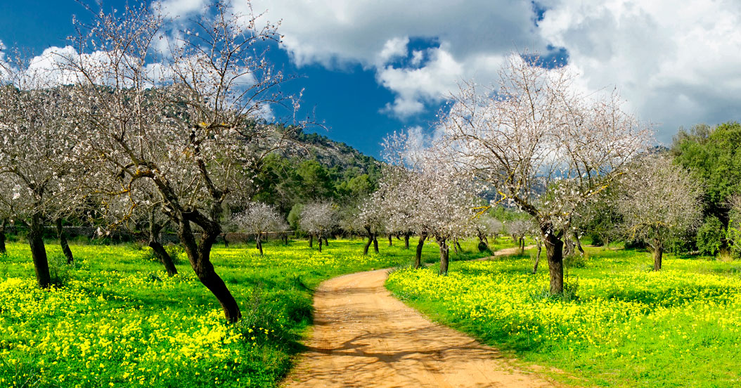wanderrouten mallorca wanderrouten mallorca hotel miramar in puerto de soller